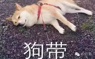 不只有蓝瘦.香菇2016年十大网络流行语,西安人知道几个
