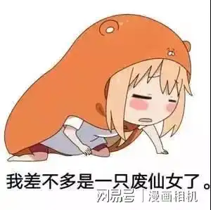 表情包合集疫情不结束我差不多废了
