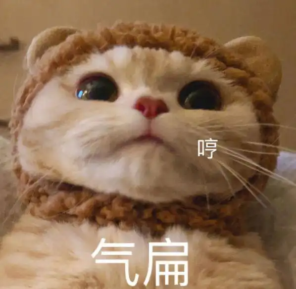 猫咪这6大表现,说明它生气了,你却还不知道
