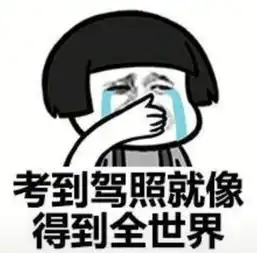 抖音表情最火表情包
