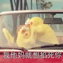 出来聊天,介绍男朋友给你,网友其实我也不想无理取闹

