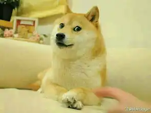 求这幅图的原图片出处
