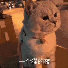 有内鬼,抓紧收图
