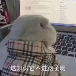 刷爆抖音的100张情侣头像,就算单身也忍不住收藏
