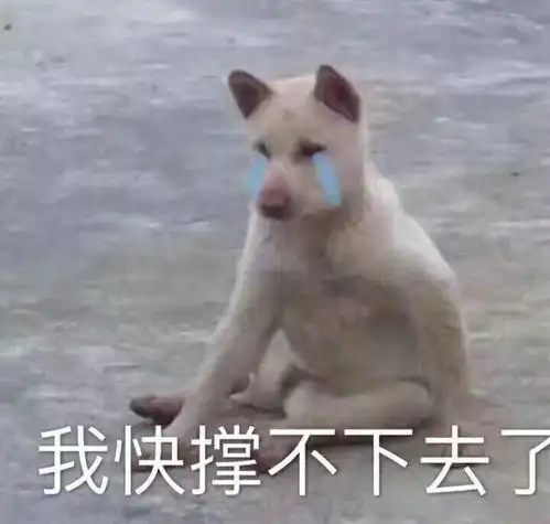 这届年轻人已经想退休了工作
