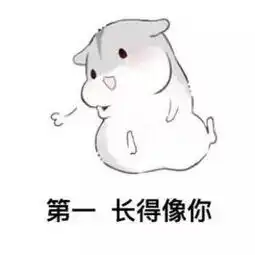 小仓鼠撩妹表情包你知道我择偶的标准吗
