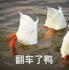 男子马路上演独轮杂耍,下一秒就傻眼

