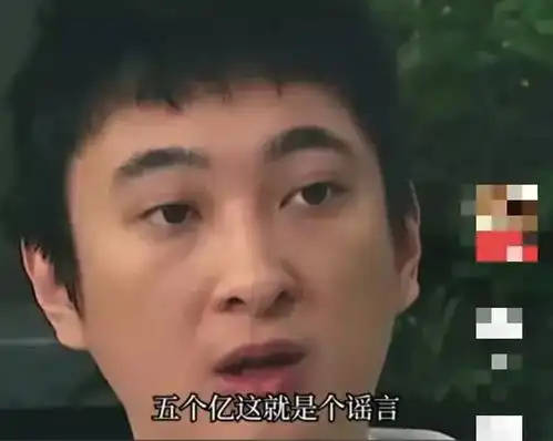 王思聪澄清父亲给5个亿创业是谣言,一下拿不出这么多,分批给
