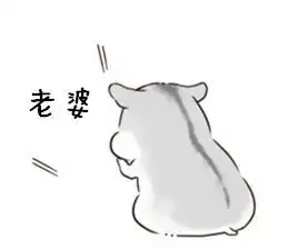 小仓鼠表情包说了多少次老婆要听话
