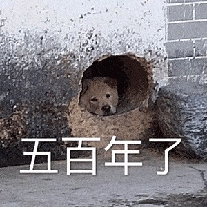 沙雕斗图表情包有本事你打我嘛
