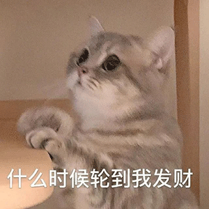 表情包商店丨抖音上可爱的表情包动图
