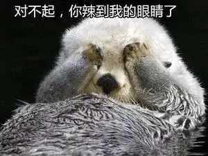 我们不一样,斗图表情包妈蛋表情网
