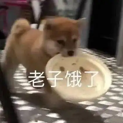 狗狗表情包有点想哽咽
