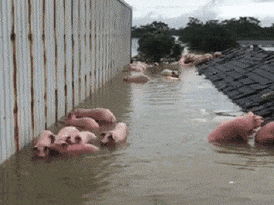 利用公园解决暴雨,你信吗
