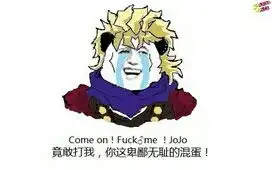 傻dio的jojo图内含表情包
