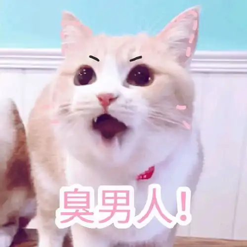 表情包臭男人敢不接我电话
