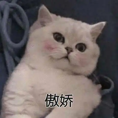 沙雕表情怪让人不好意思的

