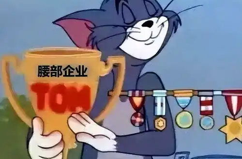 苹果被吊打了,它自己说的
