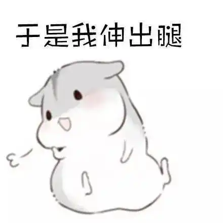 我走过最深最长的路,是你的套路
