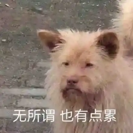 武汉一小区电梯间的这双眼,专治想上楼的电瓶车
