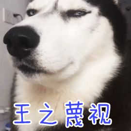可爱沙雕表情包宝贝,来不及解释了,快上车
