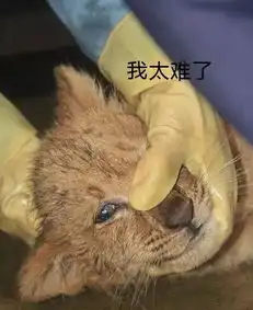 来看看动物园的这群戏精新晋表情包,简直不要太萌哦
