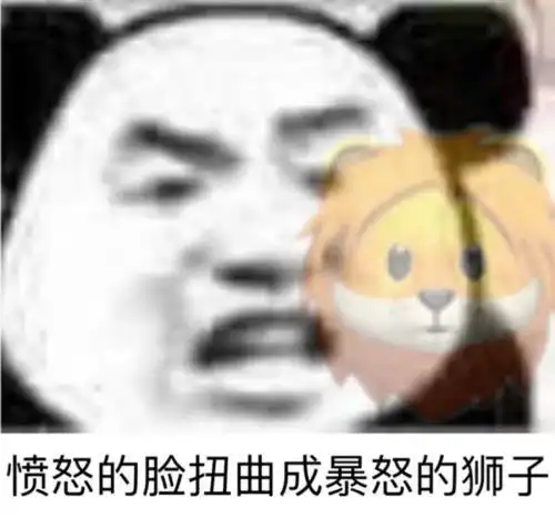 表情包只为寻找对的
