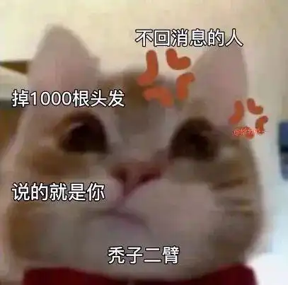 最新歪嘴猫自怕表情

