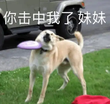 狗头人表情包动图北大考