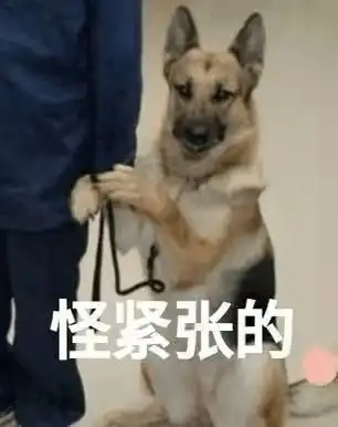 干货铺机械科学与工程学院复试经验分享