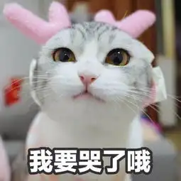 表情包感人你真好
