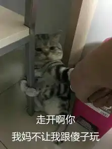 有哪些能怼死人的表情包
