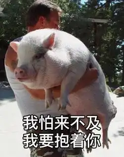 敢不敢给对象发我下凡太久要回天庭了,网友的回答真是笑死我了哈哈哈哈哈

