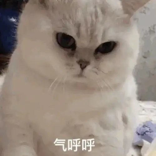 又来今晚有雨,个别地点暴雨还要警惕雷暴大风冰雹