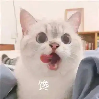 拯救天热没胃口酸爽脆嫩,一煮一拌就搞定
