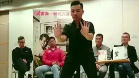 虎鹤双形拳的饿虎扑羊和独脚飞鹤的街头应用