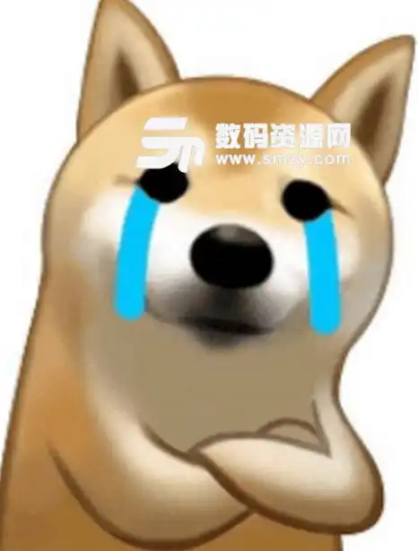 柴犬双手交叉表情包下载非常治愈高清版
