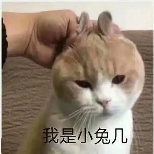 新一届斗图大赛又开始了网友脑洞爆发,不服来战
