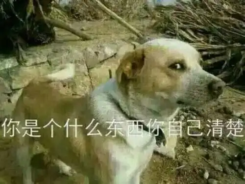 魔性狗子表情包全属精品