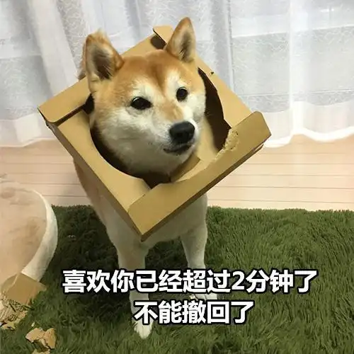 柴犬撩妹表情包你知道我最喜欢什么制服吗被你制服
