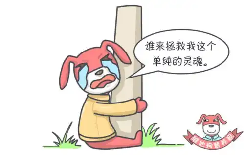 你以为的健康零食其实不健康,包装上有密码,只是你看不懂
