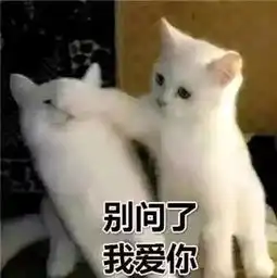 东华少女沐浴大迁徙
