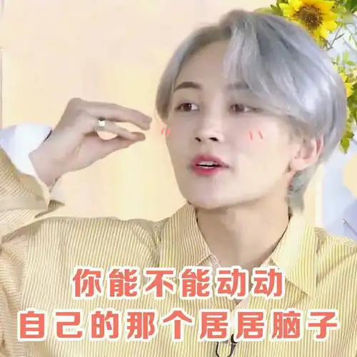 seventeen的表情包合集全员向96line
