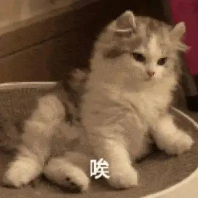 不会吧,杨幂胡歌真要结婚了