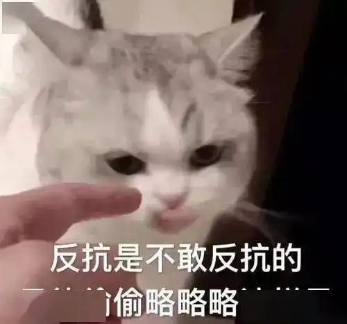 想养猫你家的水杯够多吗,猫的手有多欠怕是只有铲屎官才知道吧
