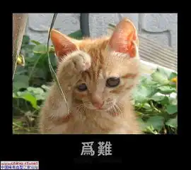 校外教育机构负责人在想什么

