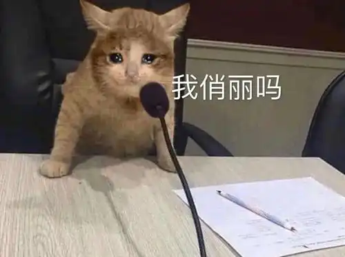 公公猫没雄风,我想给它做一对假蛋蛋
