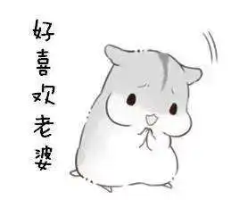 抖音小仓鼠高清无水印表情包合集超萌
