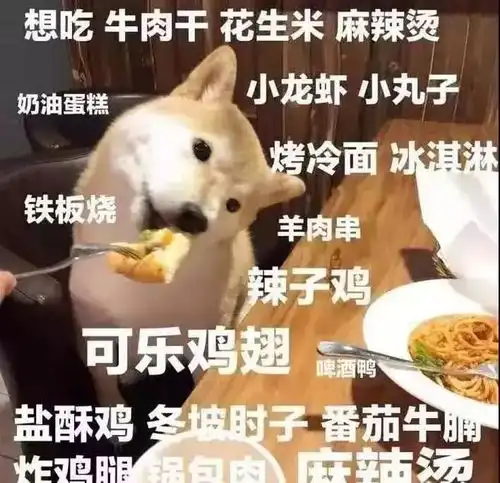 理想寒假与现实寒假的差距到底有多大
