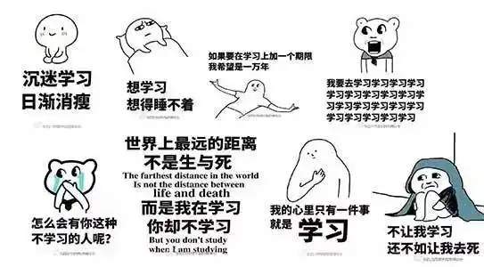 萌翻大学校徽进入表情包界之后,就被玩坏了
